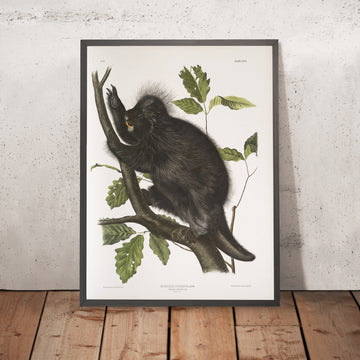 A framed image of 