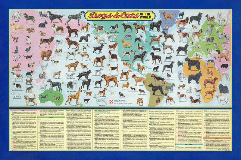 Visualiser thumbnail artwork