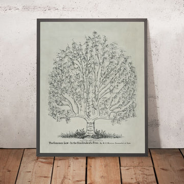 Law Office Poster, 1878: Common Law as a Tree by RC Bierce