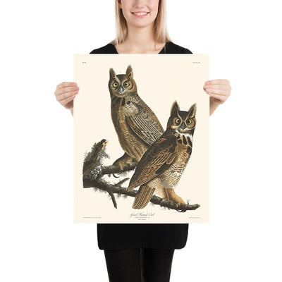 Great Horned Owl by John James Audubon, 1827