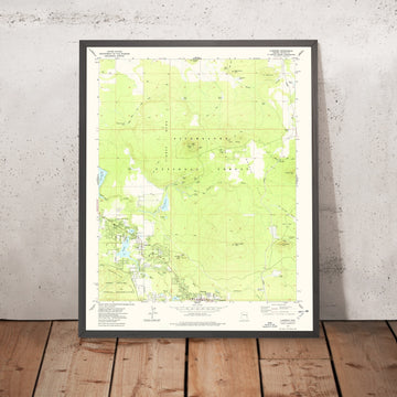 Old Map of Pinetop-Lakeside, Arizona by USGS, 1977 – Sitgreaves National Forest & Rainbow Lake