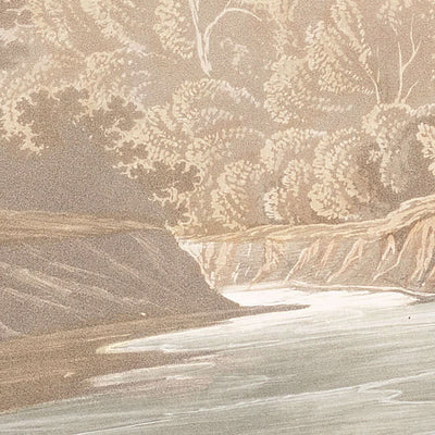 Little Sandpiper by John James Audubon, 1827