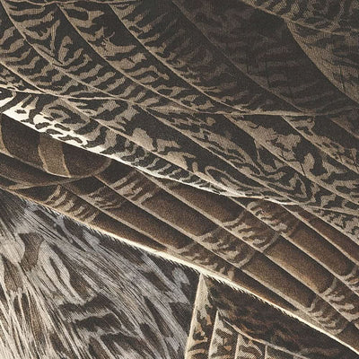 Búho negro gigante, de John James Audubon, 1827