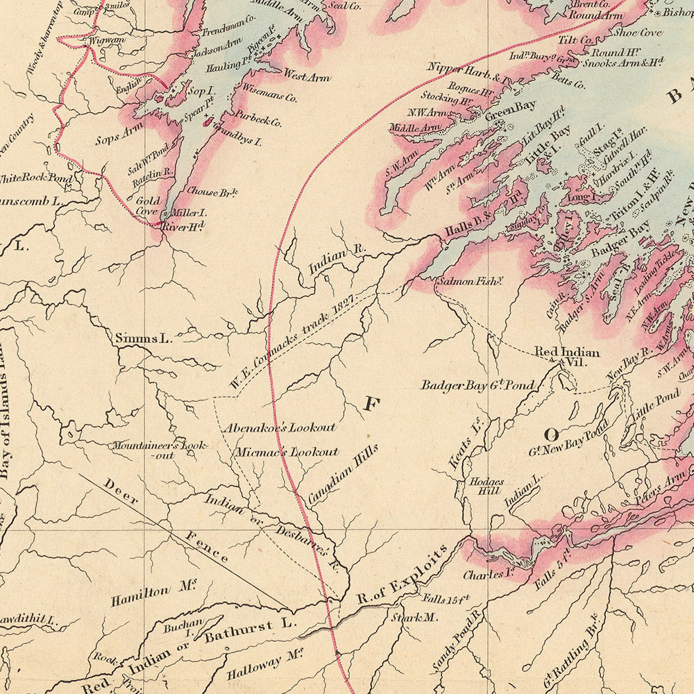 Old Map of Newfoundland by Arrowsmith, 1884: St. John's, Great Bank, Trinity Bay, Rivers, Electoral Districts