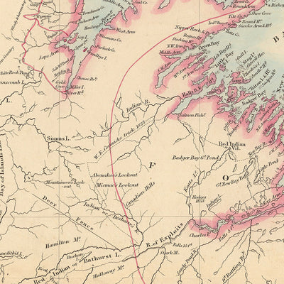 Old Map of Newfoundland by Arrowsmith, 1884: St. John's, Great Bank, Trinity Bay, Rivers, Electoral Districts
