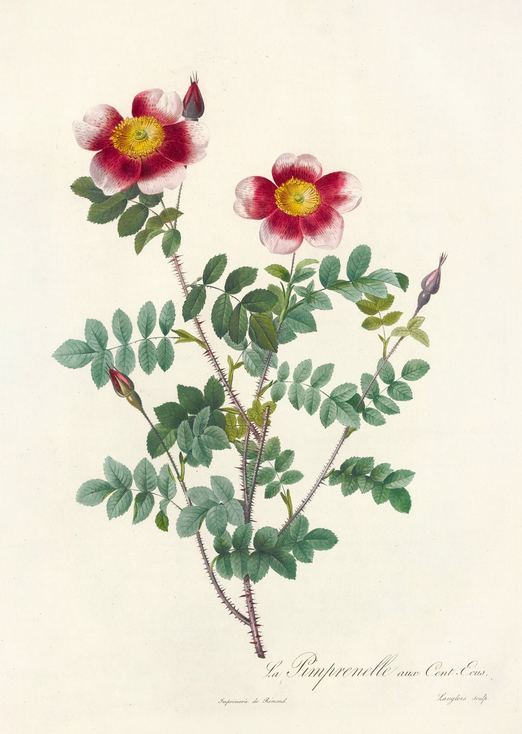 Artwork preview