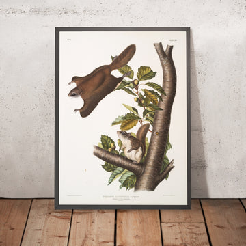 A framed image of 