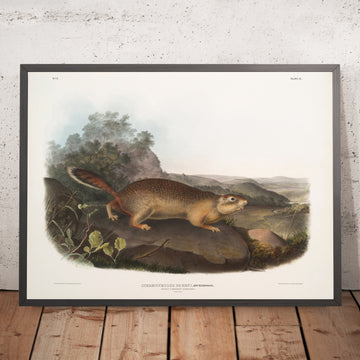 A framed image of 