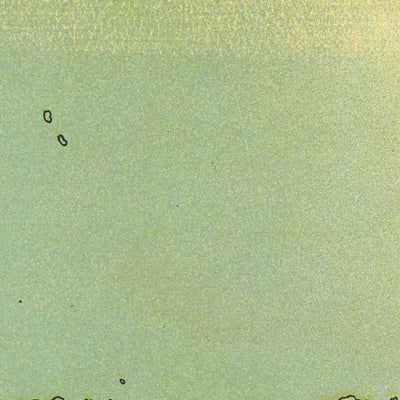 Tableau climatique du monde, 1893 : Distribution des races humaines, des animaux et de la végétation par Yaggy 
