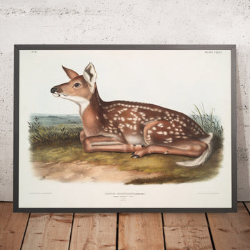 A framed image of 