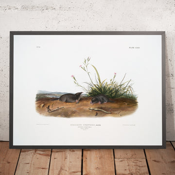 A framed image of 