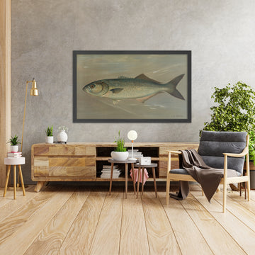 A framed image of 