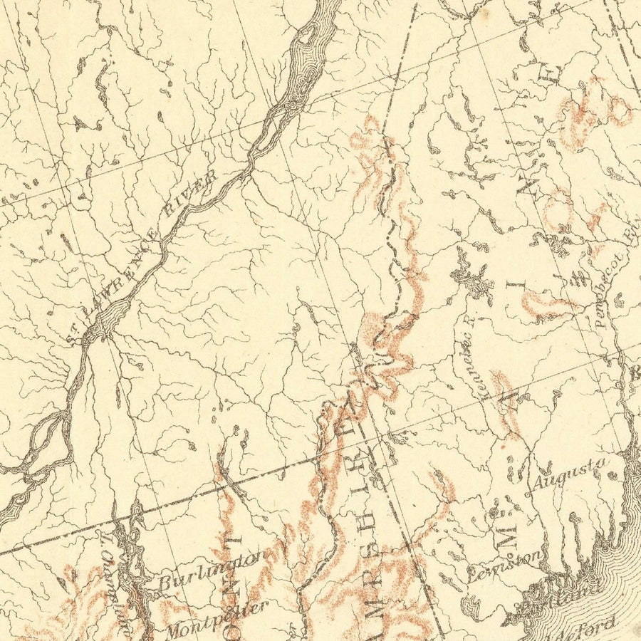 Mappa antica della distribuzione degli alberi di Castagno e Chinquapin negli Stati Uniti, 1884 