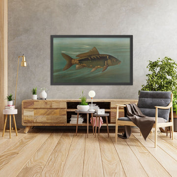 A framed image of 