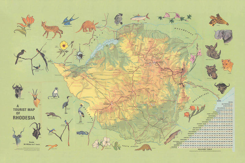 Visualiser thumbnail artwork