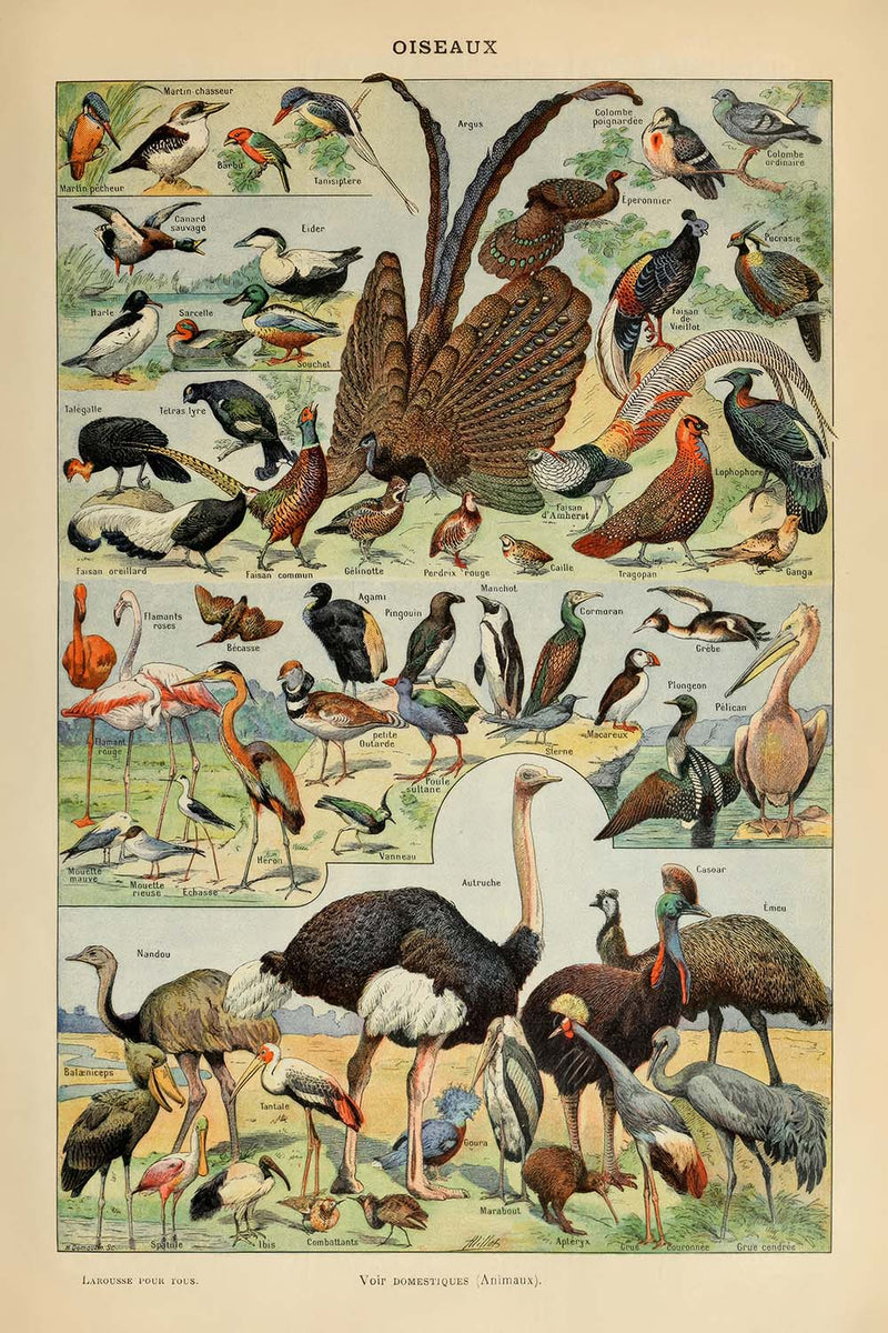 Visualiser thumbnail artwork