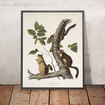A framed image of 