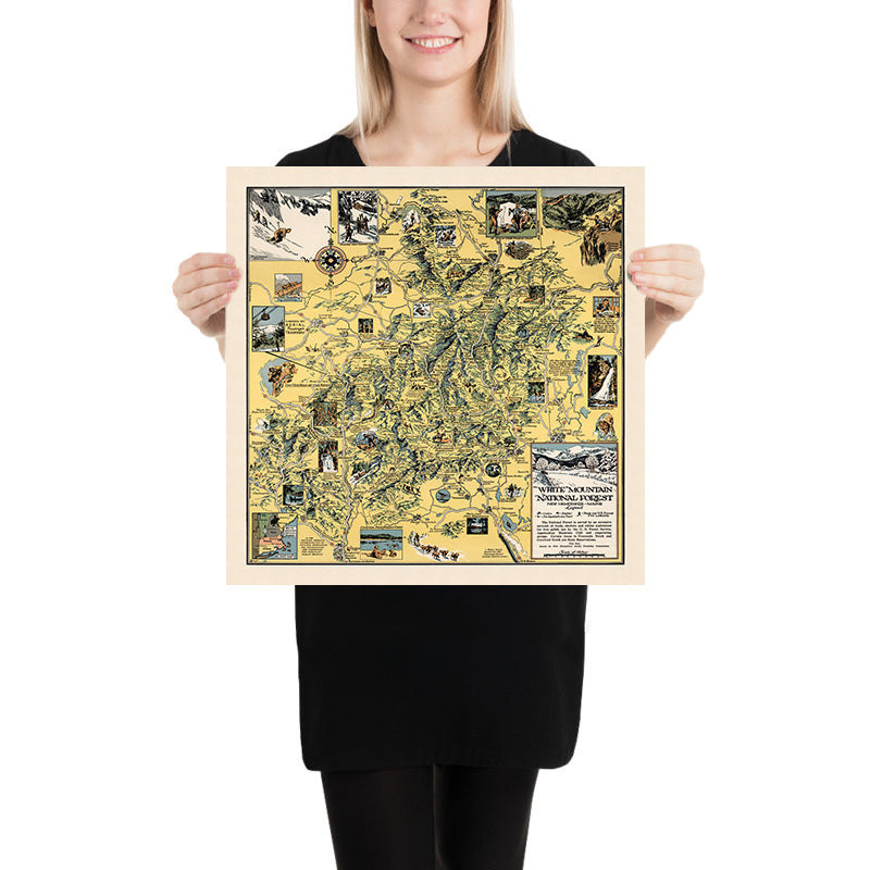 Antica mappa pittorica del White Mountain National Forest, 1930: Cannon Mt., Appalachian Trail, Franconia Notch, Mt. Washington, Conway 