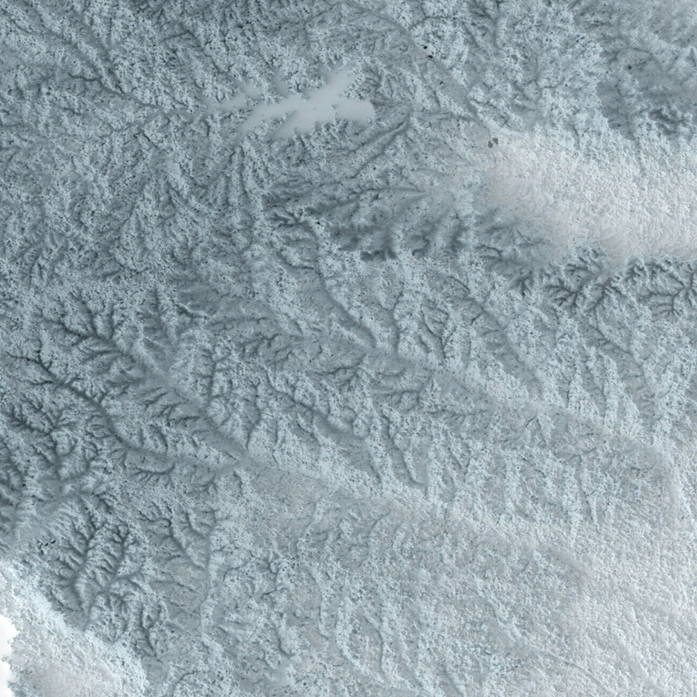South Carolina Topographic 3D Relief Map