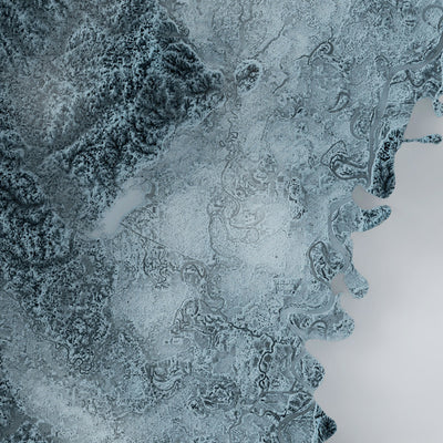 Louisiana Topographic 3D Relief Map