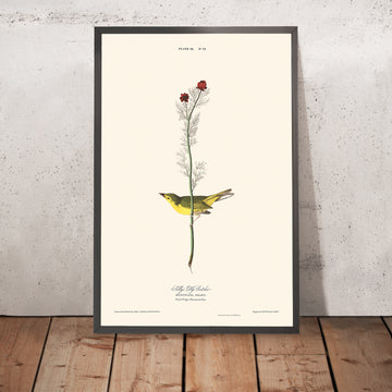 A framed image of Selby&