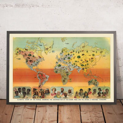 Tableau climatique du monde, 1893 : Distribution des races humaines, des animaux et de la végétation par Yaggy 