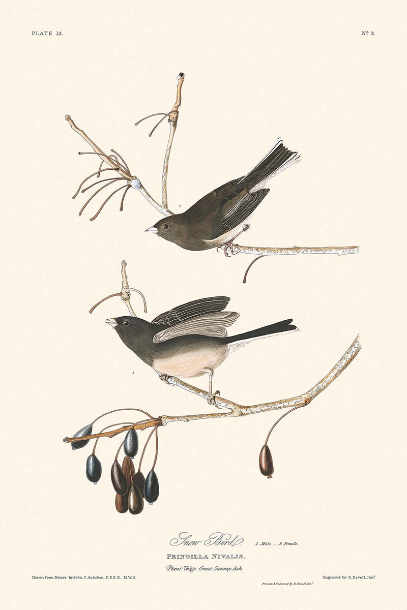 Visualiser thumbnail artwork