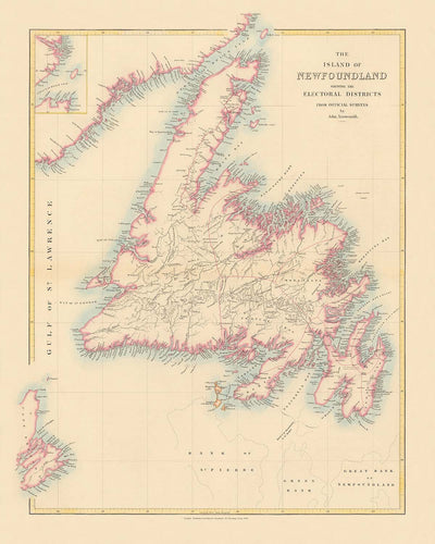 Old Map of Newfoundland by Arrowsmith, 1884: St. John's, Great Bank, Trinity Bay, Rivers, Electoral Districts