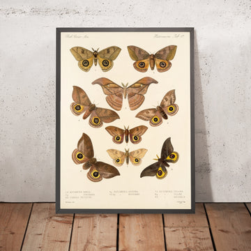A framed image of 