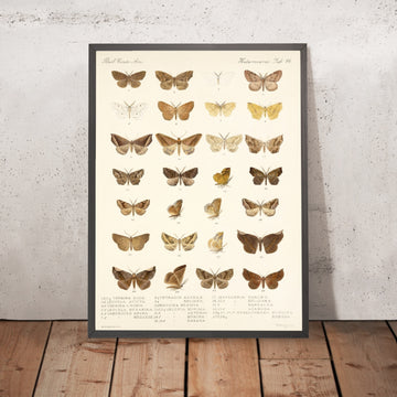 A framed image of 