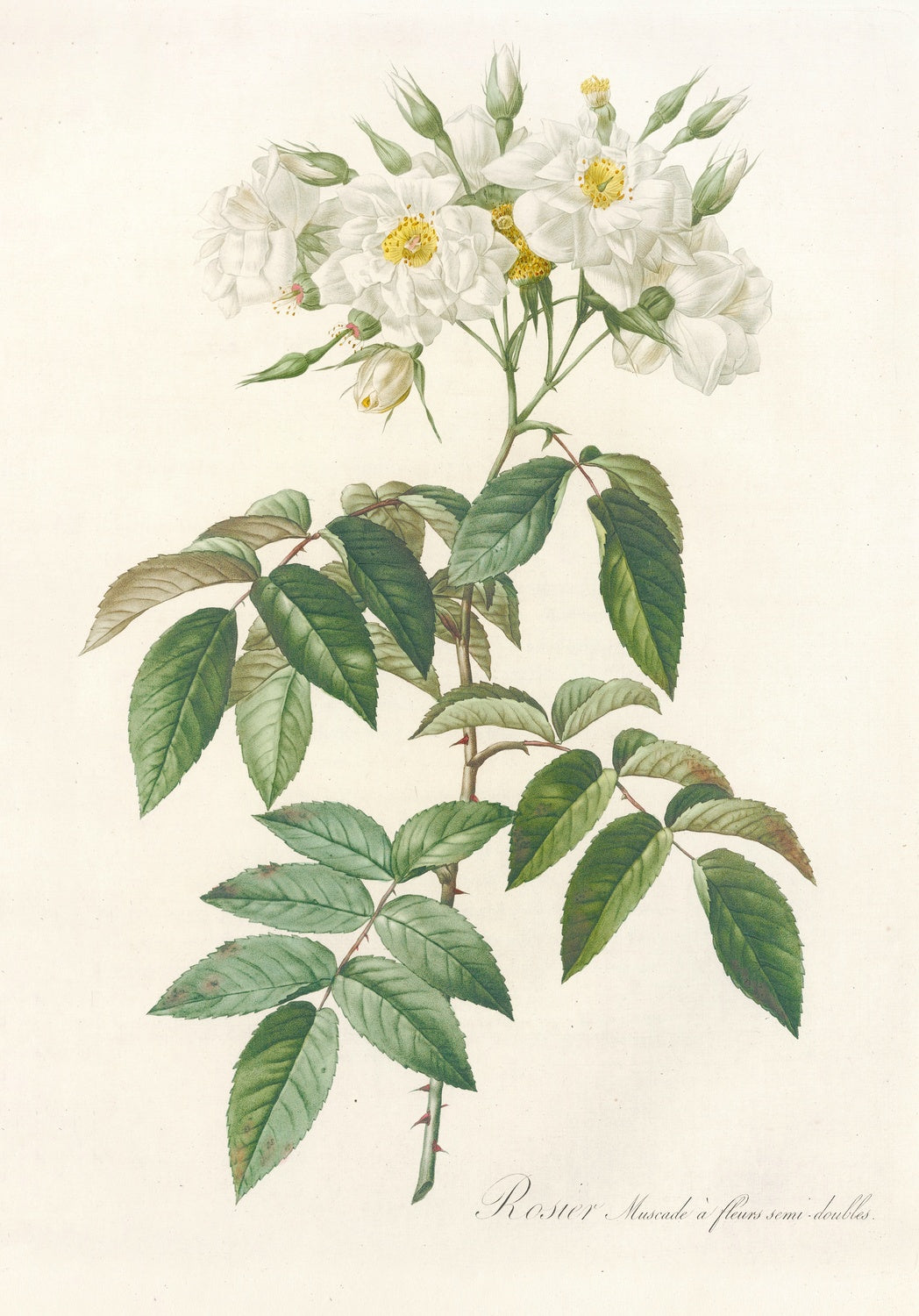 Artwork preview