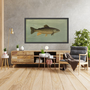 A framed image of 