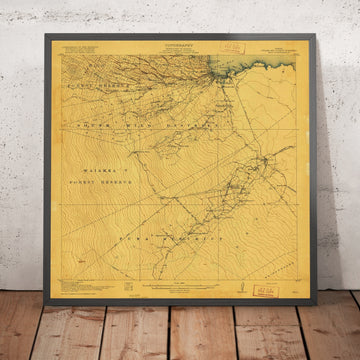 Old Map of Hilo, Hawaii by USGS, 1917 – Hilo Bay & Waiakea Forest Reserve