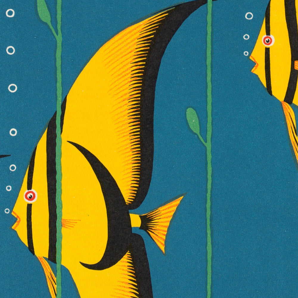 Great Barrier Reef Travel Poster: Australia – Great Barrier Reef, Queensland by Gert Sellheim