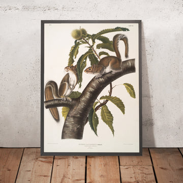 A framed image of 