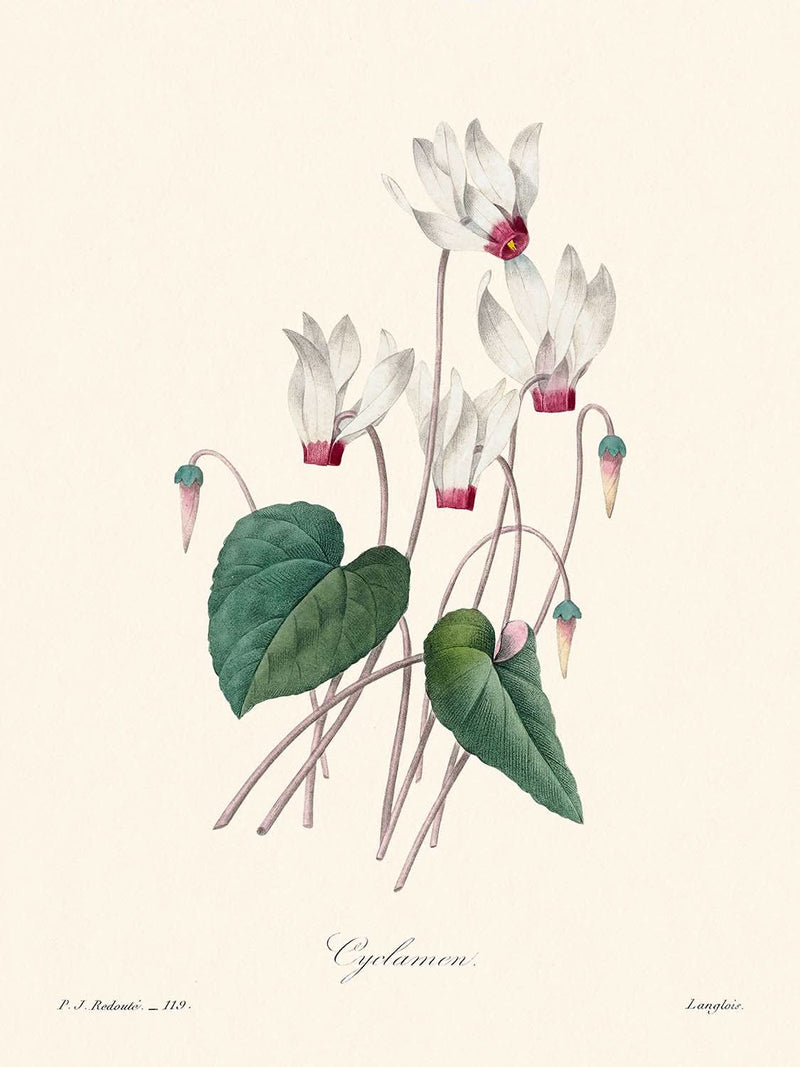 Visualiser thumbnail artwork