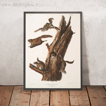 A framed image of 