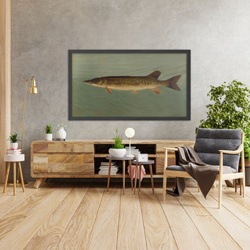 A framed image of 