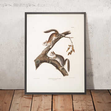A framed image of 