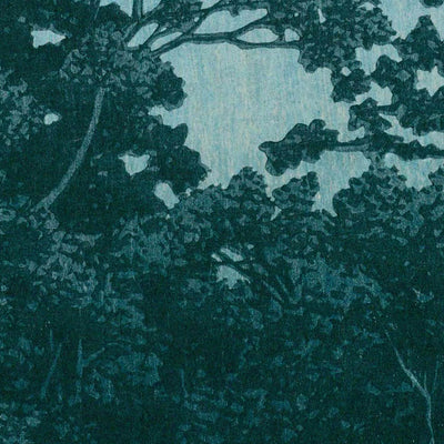 Der Sanpoji-Teich in Shakujii von Hasui Kawase, 1935 
