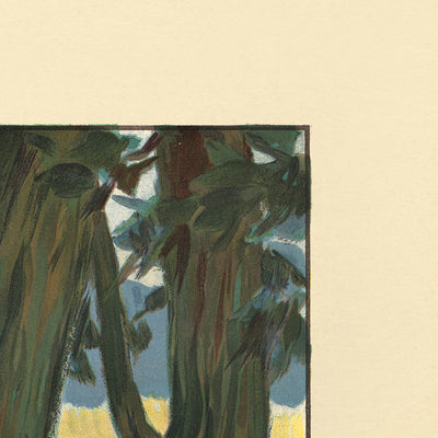 Appenzell Travel Poster by Auguste Viollier, 1904