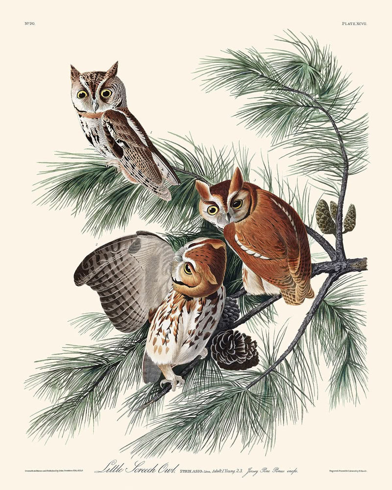 Visualiser thumbnail artwork