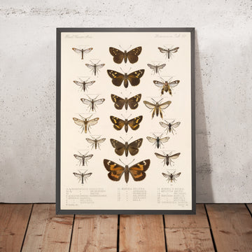 A framed image of 