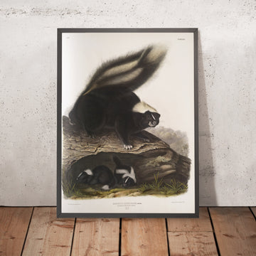 A framed image of 