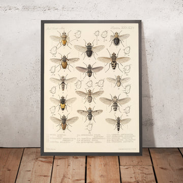 A framed image of 