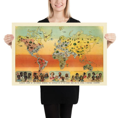 Tableau climatique du monde, 1893 : Distribution des races humaines, des animaux et de la végétation par Yaggy 