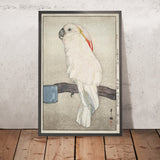 Obatan omu (Obatan Parrot) by Yoshida Hiroshi, 1926