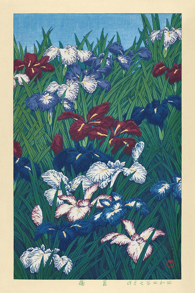 Iris par Hasui Kawase, 1935 