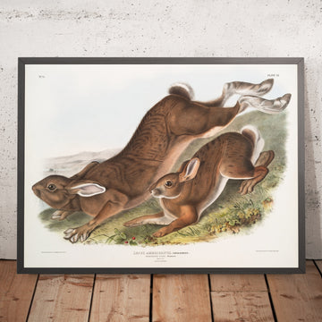 A framed image of 