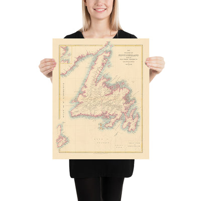 Old Map of Newfoundland by Arrowsmith, 1884: St. John's, Great Bank, Trinity Bay, Rivers, Electoral Districts